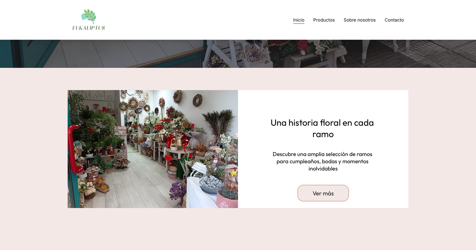 Cvjećarna Eukaliptus hero